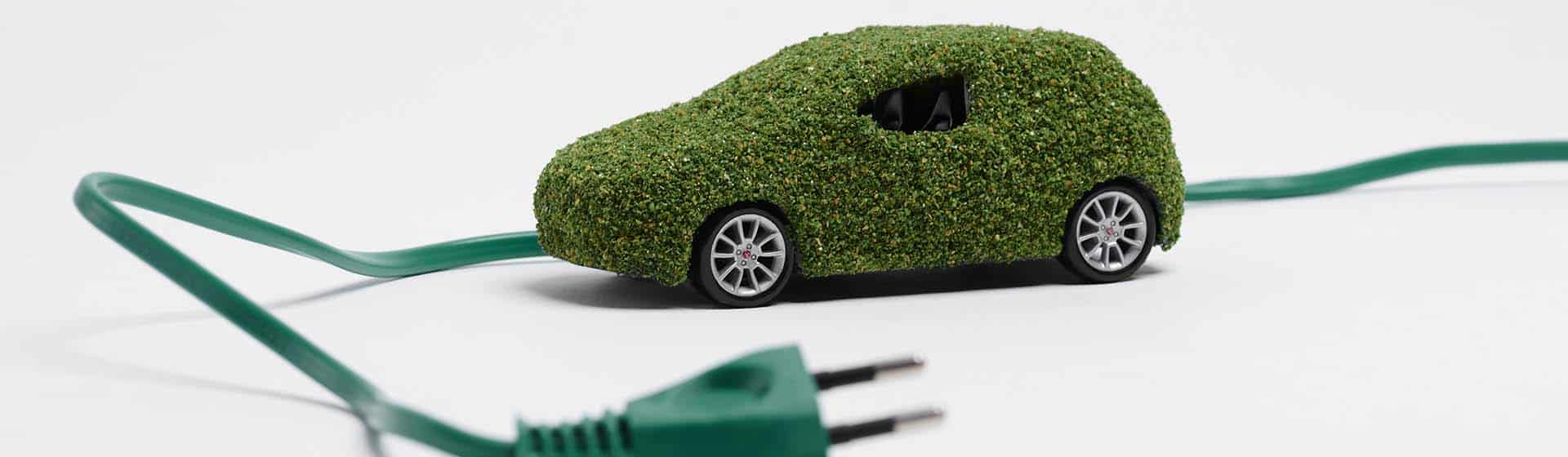 Going Green Electric Vehicles Photo