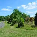 Hookwood Lodge Hotel Gatwick